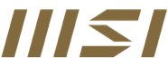 MSI